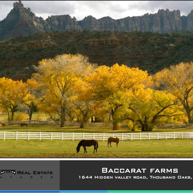 Baccarat Farms Overview