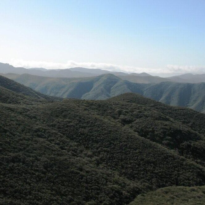 POTRERO AND GALWAY FARMS